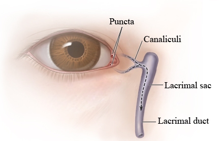 PHACO & Eye Related Surgery